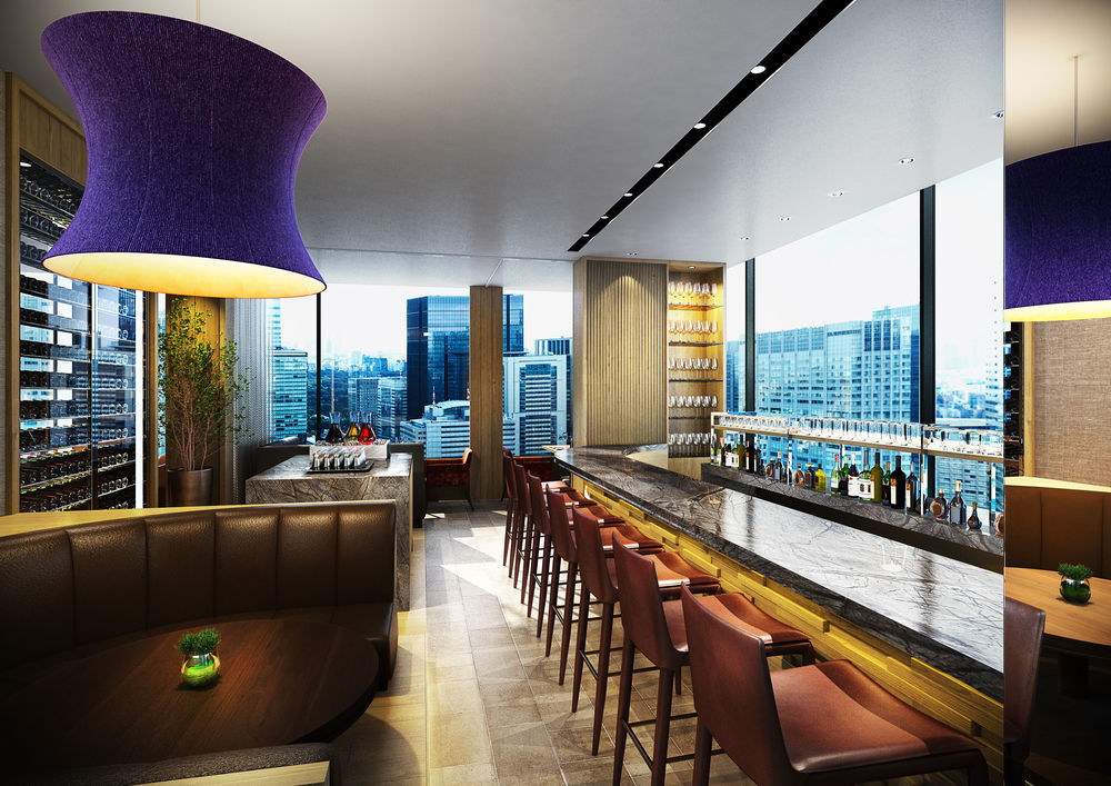 The Celestine Ginza Präfektur Tokio